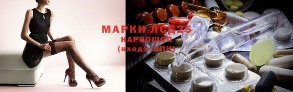 apvp Вязники