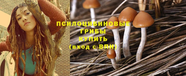 гашик Вязьма