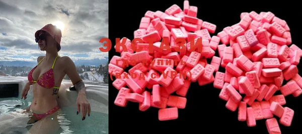 гашик Вязьма