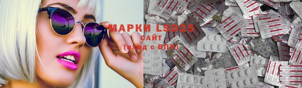 гашик Вязьма