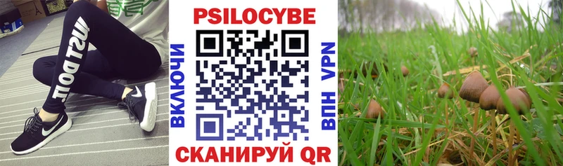 Галлюциногенные грибы Magic Shrooms  где найти наркотики  Каменск-Уральский 